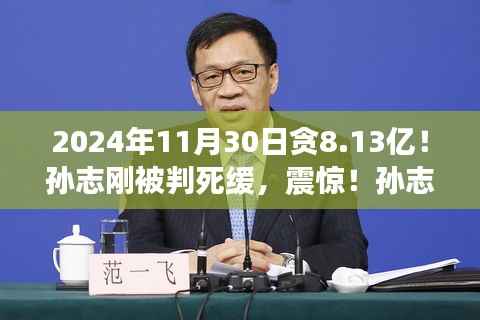 震惊!孙志刚贪腐案揭秘,贪腐金额达八亿背后的法律审判