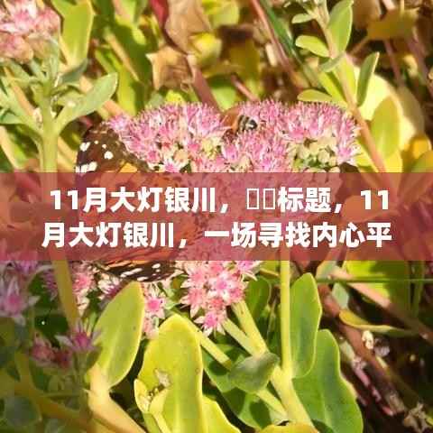 11月大灯下的银川，寻找内心平静的奇妙之旅