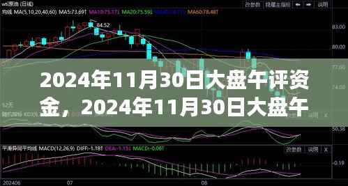 2024年11月30日大盘午评资金洞察与市场走势深度解析