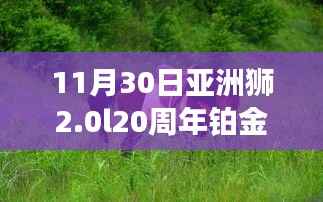 亚洲狮2.0L 20周年铂金纪念版,探索自然秘境之旅,共舞内心的宁静与乐趣