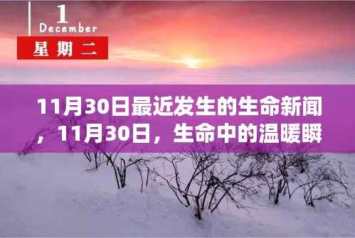 11月30日生命新闻回顾,温暖瞬间传递生命力量