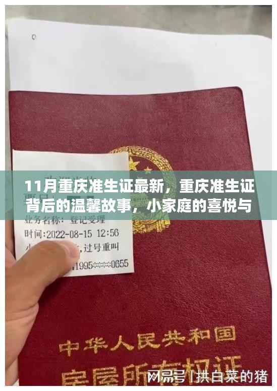 重庆准生证背后的喜悦与期待，最新动态与温馨故事