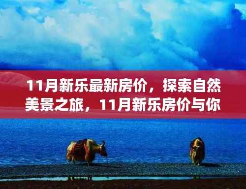 11月新乐房价探索之旅，自然美景与心灵宁静的双重体验