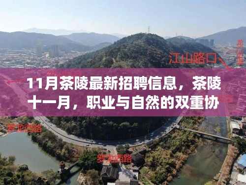 茶陵最新招聘启事，十一月职业与自然的和谐协奏曲，启程寻找内心宁静之旅