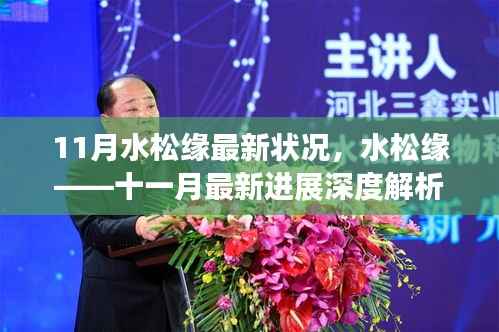 水松缘最新进展深度解析，11月最新状况报告