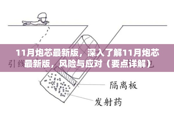 深入了解，11月炮芯最新版的挑战与应对策略（风险详解）