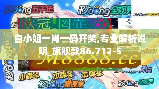 白小姐一肖一码开奖,专业解析说明_旗舰款86.712-5