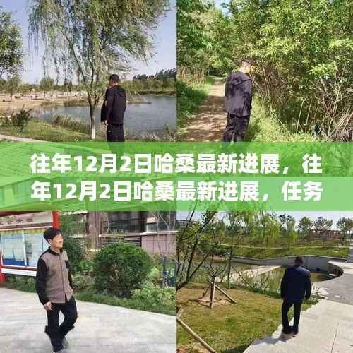 往年12月2日哈桑最新进展,任务完成与技能学习指南