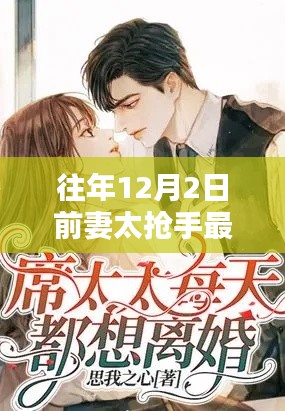 往年12月2日前妻太抢手,深度解析热点话题与最新章节