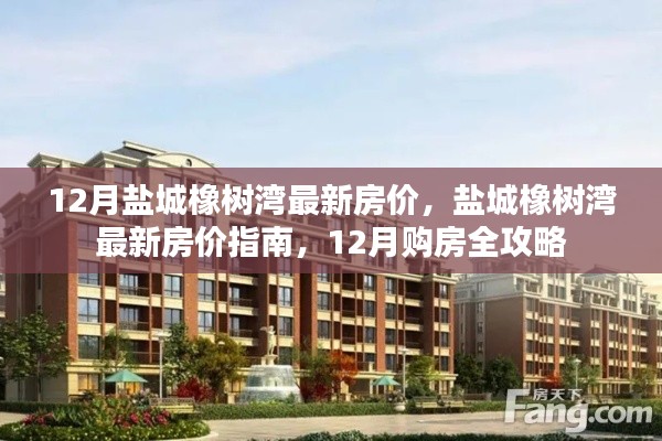盐城橡树湾最新房价指南,12月购房攻略与房价走势分析