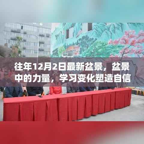 盆景的力量，塑造自信与成就，追寻梦想的脚步不停歇