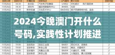 2024今晚澳门开什么号码,实践性计划推进_试用版44.826-8