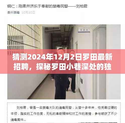 探秘罗田小巷深处的独特小店,揭秘最新招聘动态与未来展望(罗田招聘预测)