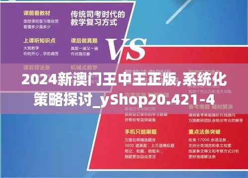 2024新澳门王中王正版,系统化策略探讨_yShop20.421-4