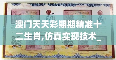 澳门天天彩期期精准十二生肖,仿真实现技术_Phablet13.789
