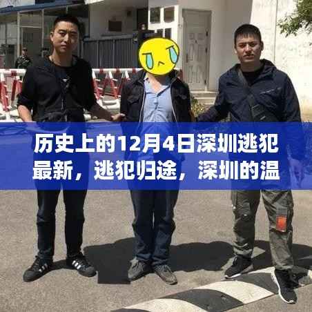 深圳逃犯归途,温馨故事在12月4日上演