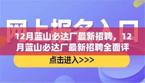 蓝山必达厂最新招聘动态,全面评测与详细介绍