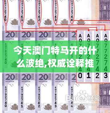 今天澳门特马开的什么波绝,权威诠释推进方式_C版15.948