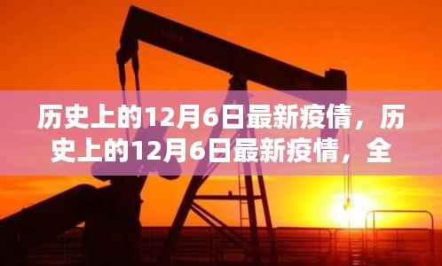 历史上的12月6日疫情全面评测与介绍,最新疫情动态概览