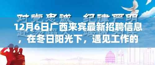 广西来宾求职奇遇记，冬日阳光下的工作温暖与友情甜香