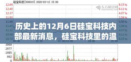 硅宝科技12月6日内部消息揭秘,温馨日常与特别故事