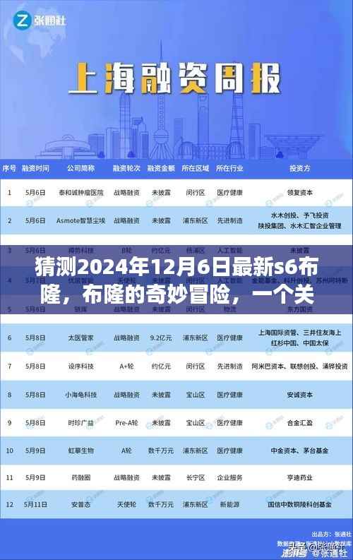 布隆的奇妙冒险，友情与陪伴的温馨故事，预测2024年12月6日最新s6布隆