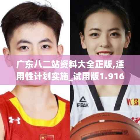 广东八二站资料大全正版,适用性计划实施_试用版1.916