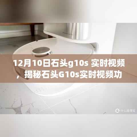 揭秘石头G10s实时视频功能,深度解读与体验分享实录