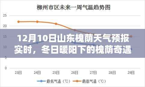 山东槐荫冬日暖阳天气预报，与友情共融的奇遇日