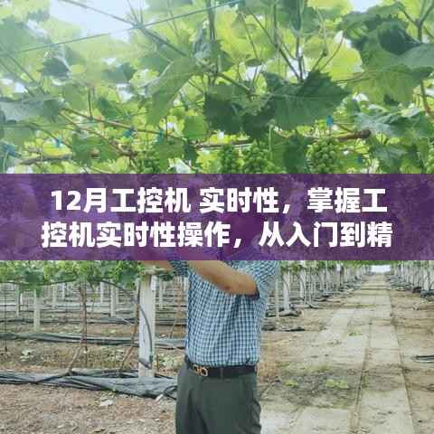 掌握工控机实时性操作,从入门到精通的12月学习指南