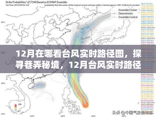 探寻巷弄秘境，揭秘十二月台风实时路径观测圣地