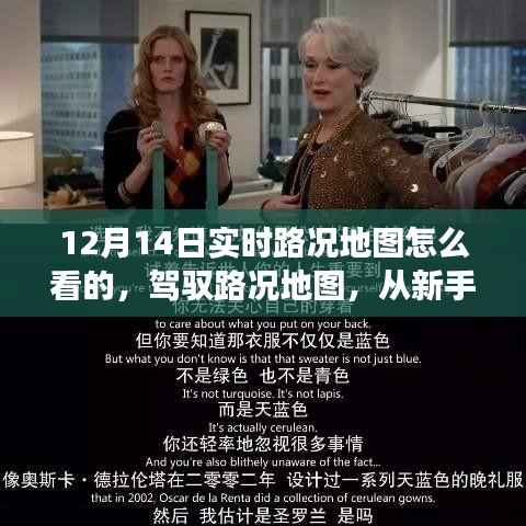 驾驭路况地图，从新手到专家的励志之路与自信蜕变之旅——解读实时路况地图使用指南