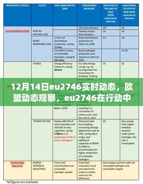 欧盟eu2746实时动态深度解读,欧盟动态观察与行动中的洞察