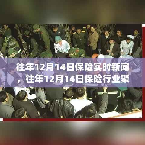 深度解读,往年12月14日保险行业聚焦与实时新闻回顾