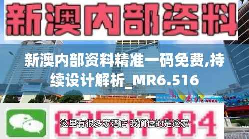 新澳内部资料精准一码免费,持续设计解析_MR6.516