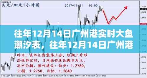 往年12月14日广州港潮汐表深度解析，大鱼潮汐实时数据与介绍
