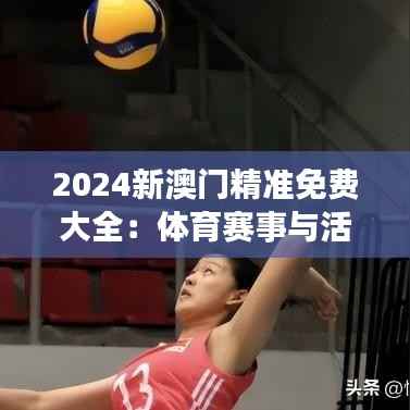2024新澳门精准免费大全:体育赛事与活动集锦