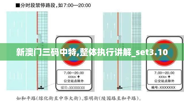 新澳门三码中特,整体执行讲解_set3.100