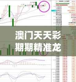 澳门天天彩期期精准龙门客栈：乐透趋势解码与赢家策略