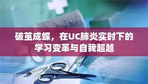 UC肺炎实时下的学习变革与自我超越,破茧成蝶之旅