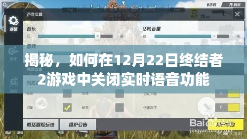 揭秘,如何在游戏终结者2中禁用实时语音功能