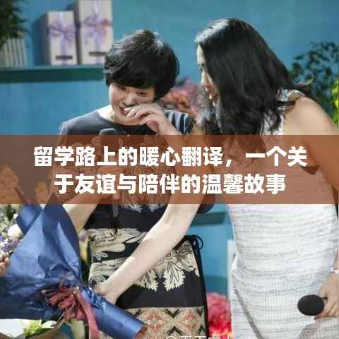 留学路上的暖心翻译,友谊与陪伴的温馨篇章