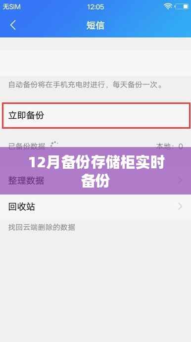 数据无忧,12月备份存储柜实时备份全攻略