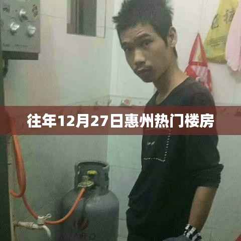 惠州往年12月27日热门楼盘推荐