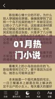 『01月热门小说歌曲赏析』