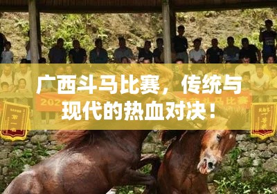 广西斗马比赛,传统与现代的热血对决!