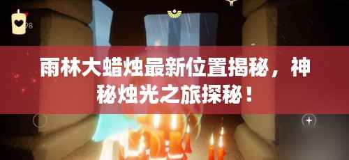雨林大蜡烛最新位置揭秘,神秘烛光之旅探秘!