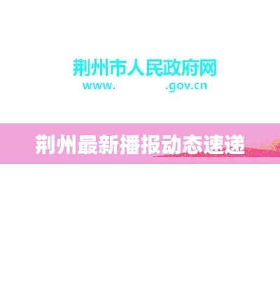 荆州最新播报动态速递