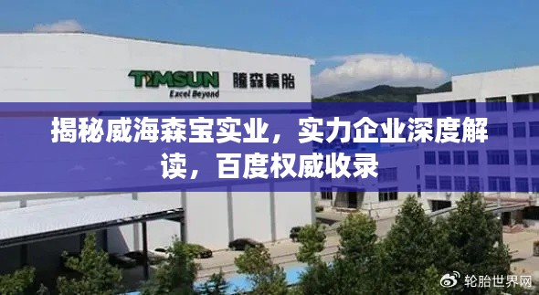揭秘威海森宝实业,实力企业深度解读,百度权威收录