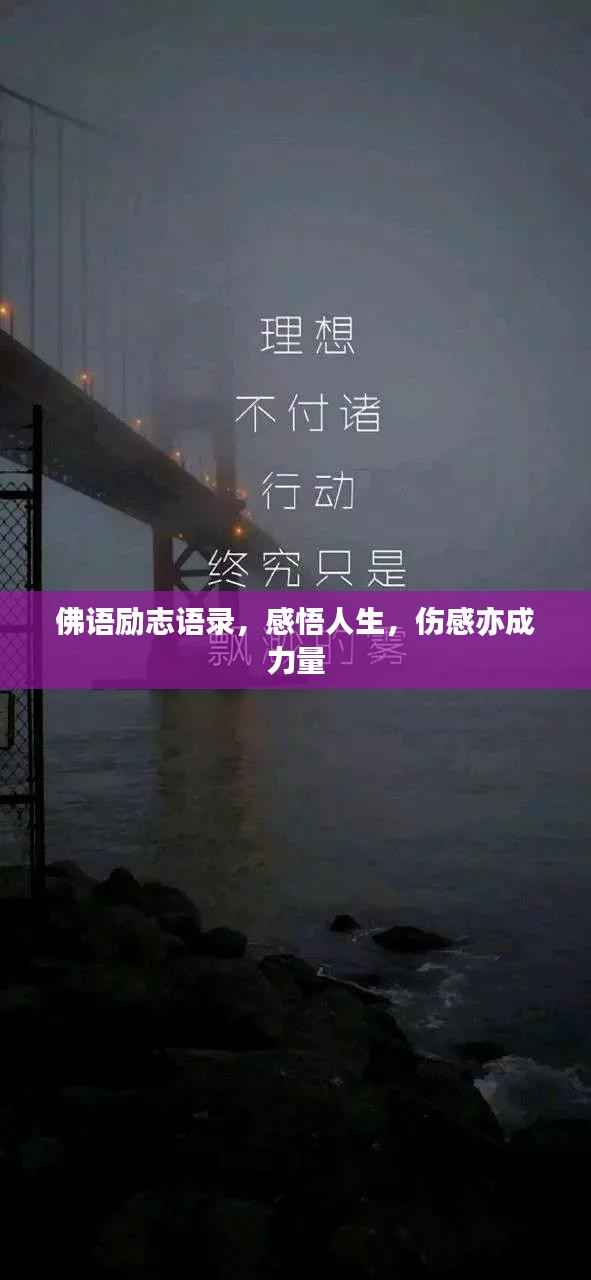 橘虞初梦 第3页